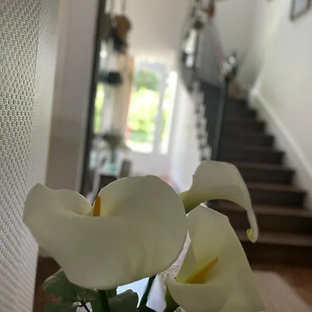 Des Roses Oda ve Kahvaltı Pontmain