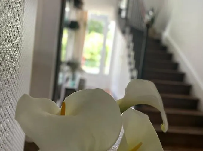 Des Roses B&B Pontmain